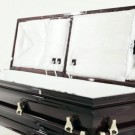 $30,000 CataCombo Sound System Coffin for afterlife entertainment