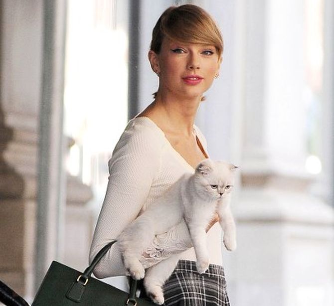 Hollywood Celebrities on National Cat Day