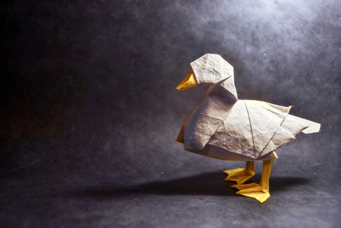 Life-like origami creations by Gonzalo Calvo