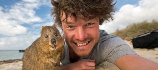 Animal Selfie King: Allan Dixon clicks funny snapshots with animals