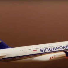 Luca Iaconi-Stewart Singapore Airline Paper Model