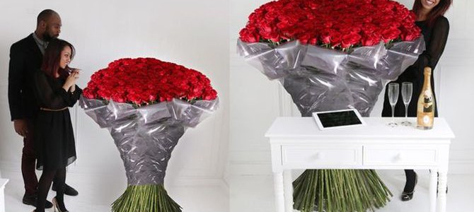 Express your love in a big way with the world’s largest roses