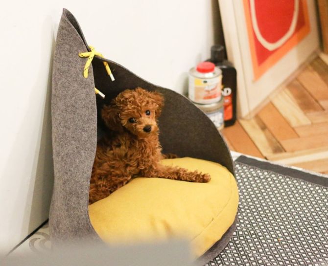 Bad Marlon’s contemporary dog houses are as stylish as yours