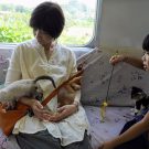 Japanese cat train hoping to raise awareness about number of strays