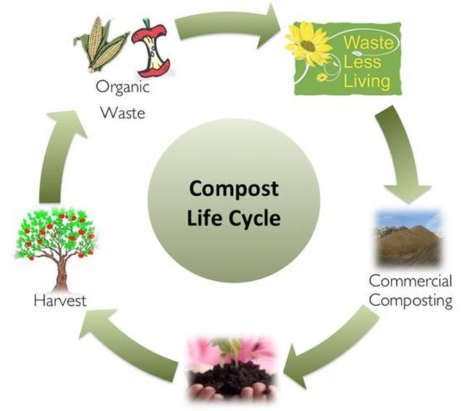 start composting-mycoolbin