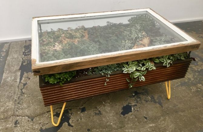 Grove terrarium coffee table by Hackney Botanical