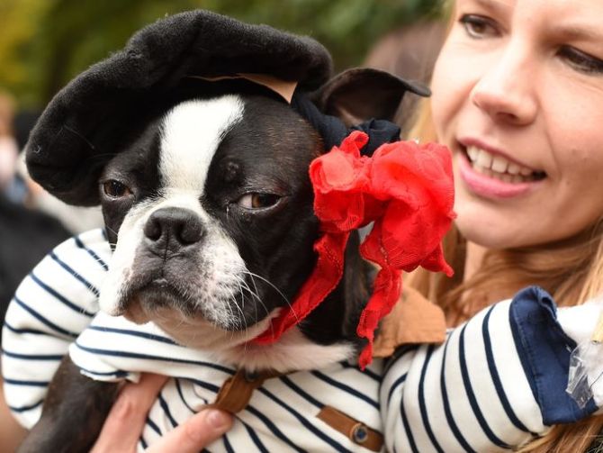 25th Annual Tompkins Square Halloween Dog Parade