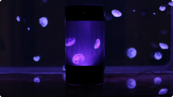 Jellyfish Cylinder Nano aquarium by Jellyfish Art