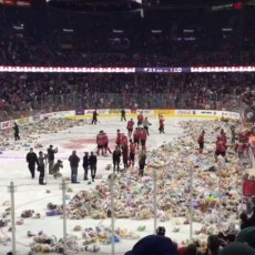 Record toys thrown at annual Teddy bear toss
