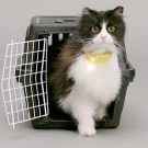 Catterbox: Hi-tech collar gives human voice to cats