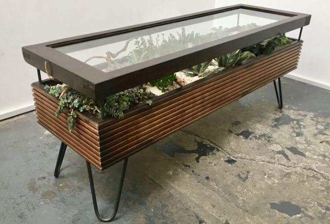 Dune terrarium coffee table by Hackney Botanical