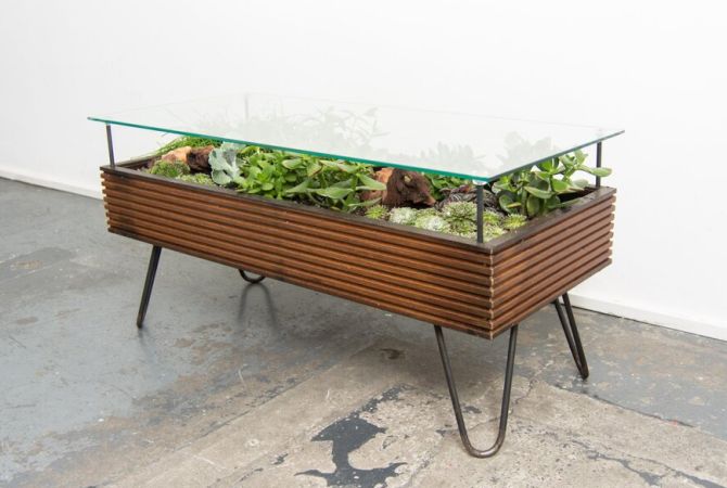Mesa Terrarium coffee table by Hackney Botanical